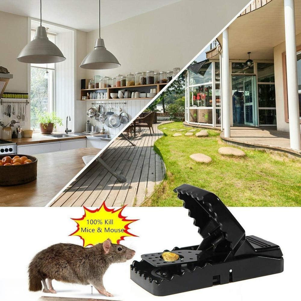 Mouse Trap (pack of 3)