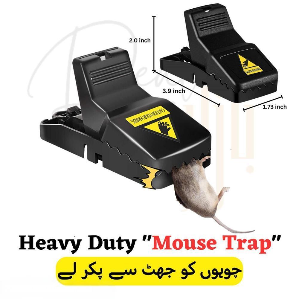 Mouse Trap (pack of 3)